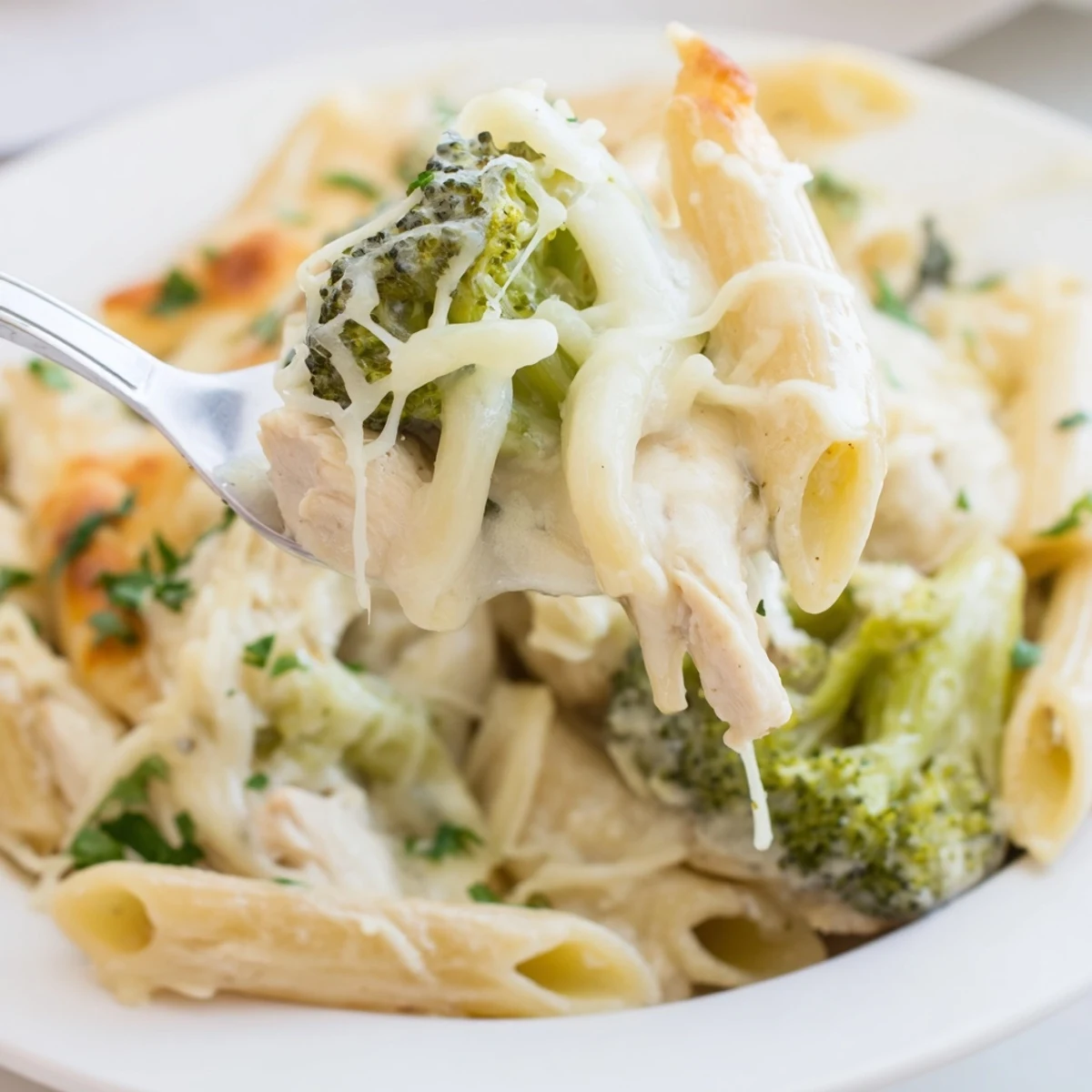 Chicken Broccoli Alfredo Bake bubbling golden with melted cheese, parsley garnish