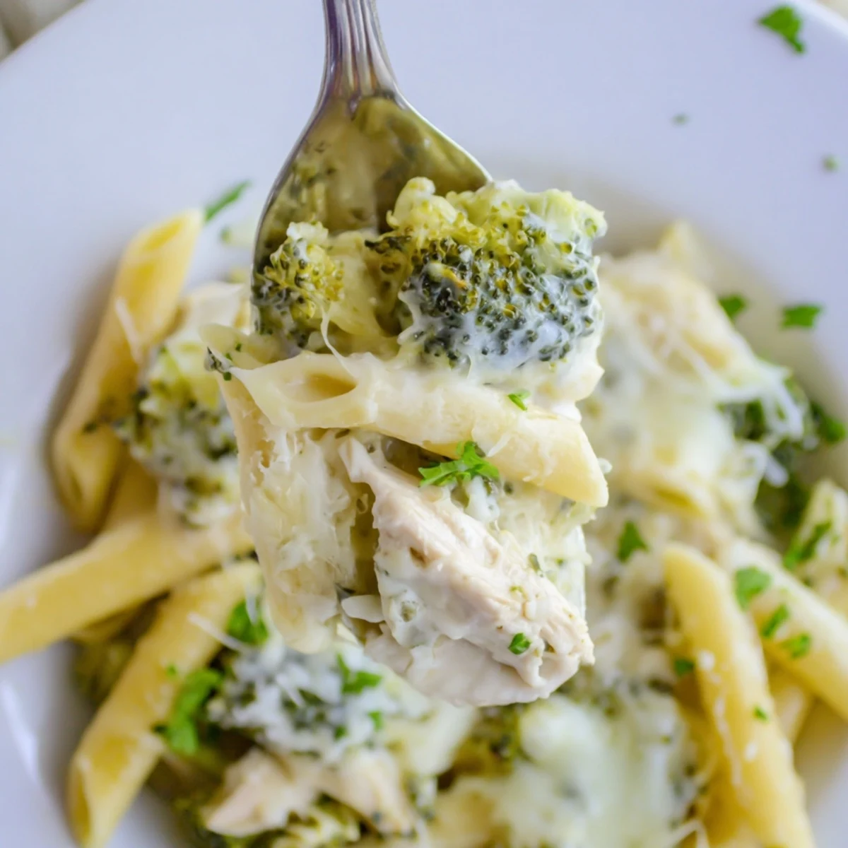 Family style Chicken Broccoli Alfredo Bake with tender shredded chicken and bright florets